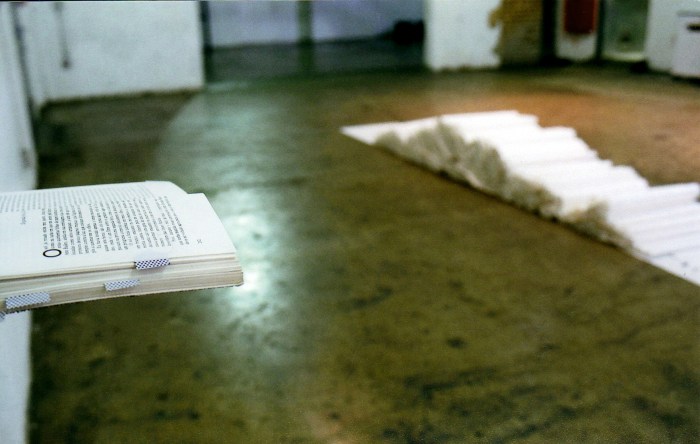 os claroes da frase020