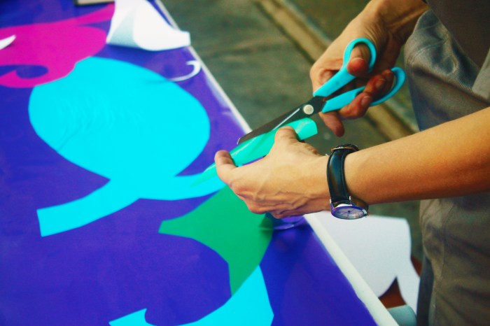 PedroSaldanha_Alice_11